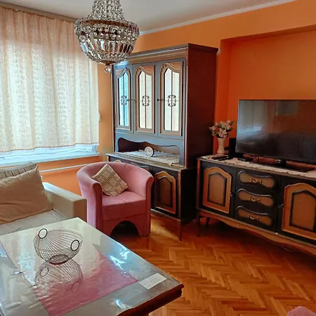 2 Bedroom Apartment, Grbavicka Apartment
