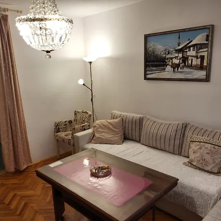 2 Bedroom Apartment, Grbavicka Apartment *